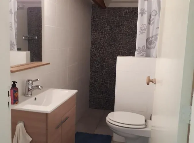 Diekinkshof 公寓 Laren